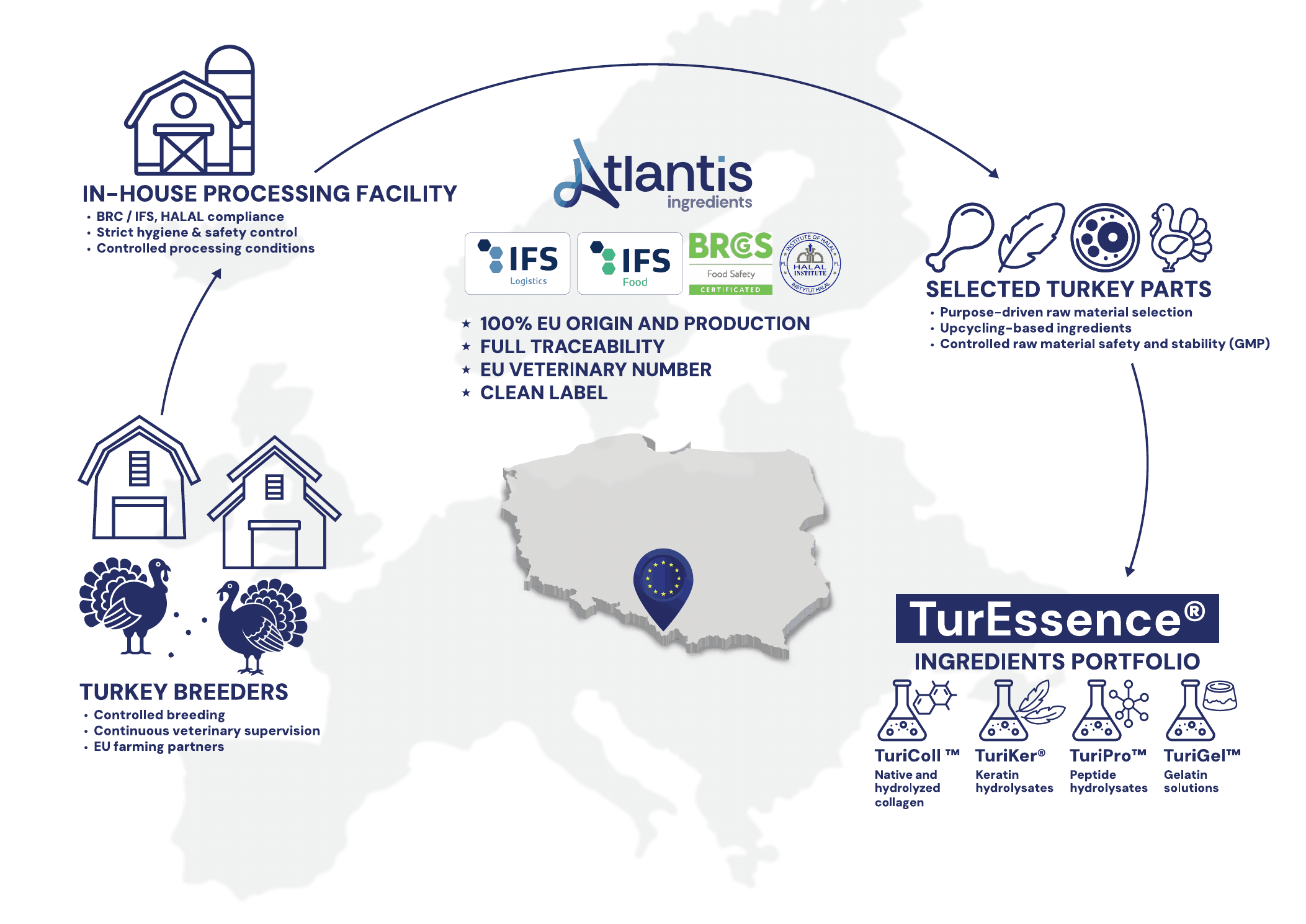 Atlantis Ingredients supply chain — from farming and processing to the TurEssence® portfolio.